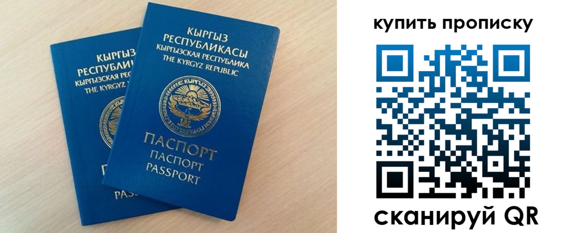 регистрация для школы в Курганской области